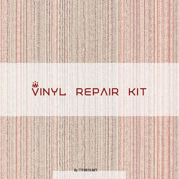 Vinyl repair kit example